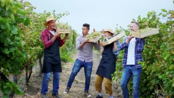 Concepto de negocio agricultura y agricultura sonriente gran grupo multinacional de agricultores y trabajadores de temporada bailando con canasta de madera llena de uvas vendimia en medio del viñedo — Vídeos de Stock