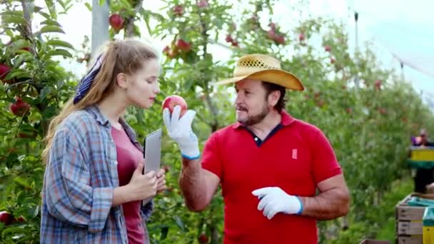Фермер и его дочь анализируя урожай яблок в этом году они обсуждают о следующем шаге, чтобы сделать яблочный сок леди с цифровой таблетки, чтобы сделать некоторые заметки фон других сезонных — стоковое видео