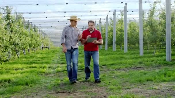 En un soleado día de otoño en el huerto de frutas caminando frente a la cámara dos agricultores que utilizan tableta digital para analizar los resultados de una cosecha exitosa de este año — Vídeo de stock