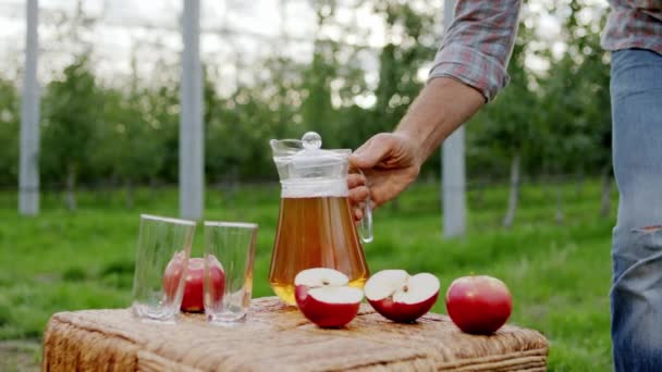 Szczegóły w środku natury rolnik wlewa z dzbanka do szklanek trochę soku organicznego z jego sadu jabłkowego — Wideo stockowe