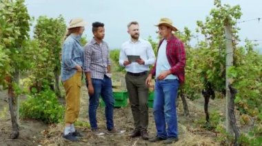 In front of the camera in the middle of vineyard old farmer man and other countryside people with a businessman analyzing the grapes harvest of this year looking through the digital tablet