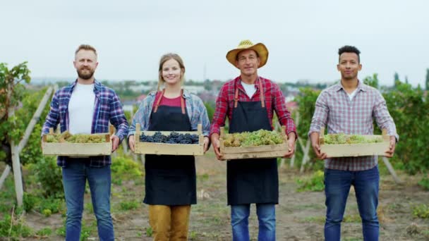 Portret charyzmatycznej wiejskich ludzi koncepcja rolnictwa patrząc prosto w kamerę w środku winnicy trzymają drewniany kosz pełen świeżych zbiorów winogron — Wideo stockowe