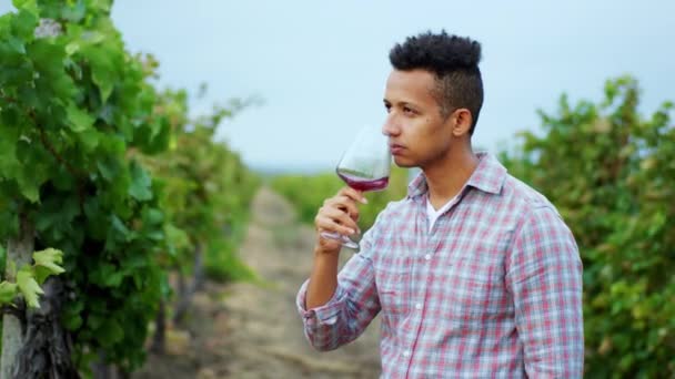 Afro-americano jovem agricultor no meio da vinha no dia de outono, ele prova um pouco de vinho orgânico fresco na frente da câmera e sorrindo grande — Vídeo de Stock