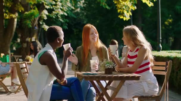 Africaine belle jeune femme et ses amies dames avec un grand sourire profiter de la rencontre à la pâtisserie au milieu du parc — Video
