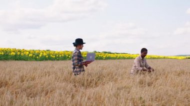 Buğday tarlasının ortasında güzel bir Afrikalı kadın ve yakışıklı bir erkek çiftçi hasatla ilgili notlar almak için laptopa bakıyorlar. ARRI 'de çekilen