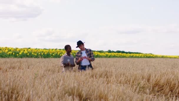 Devant le couple de caméramans analysant ensemble et discutant de la récolte de blé de cette année à l'aide de l'ordinateur portable pour faire des statistiques. Tourné sur ARRI Alexa Mini. — Video