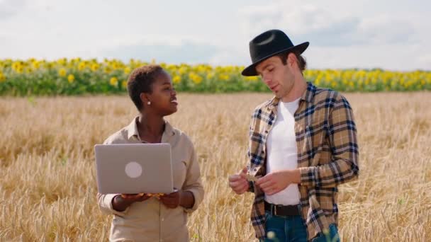 Les agriculteurs multiraciaux au milieu du champ de blé à l'aide de l'ordinateur portable pour analyser les statistiques de récolte de cette année ils ont une discussion devant la caméra — Video