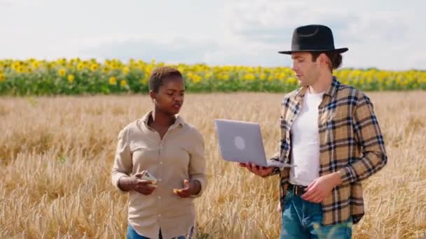 Entreprise familiale deux agriculteurs dame et homme au milieu du champ de blé discuter sur les épis de blé et prendre quelques notes sur l'ordinateur portable pour faire une analyse — Video