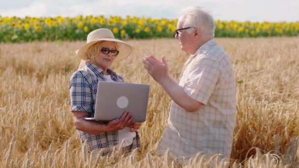 Il campo di grano grande gli agricoltori di coppia vecchi attraenti analizzando insieme dal computer portatile le statistiche di raccolto di grano da questo anno. Girato su ARRI Alexa Mini. — Video Stock