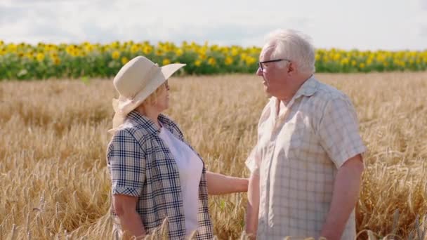 Feliz y sonriente anciana agricultora y su marido en medio del campo de trigo toman algunas espigas de trigo y examina las espigas de trigo — Vídeos de Stock