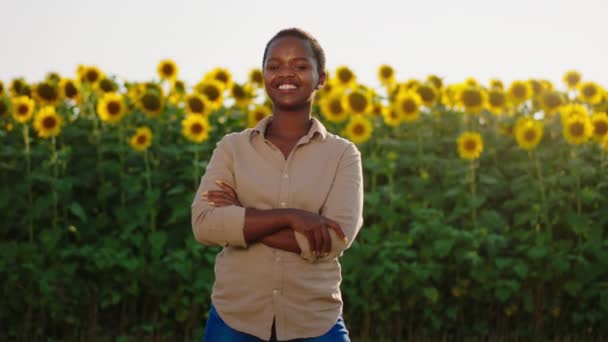 Une belle femme africaine aux cheveux courts sourit largement dans un champ de tournesol à la recherche parfaite — Video