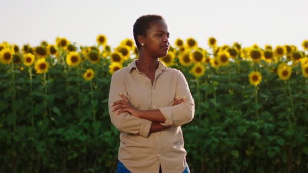 Une belle femme africaine sourit et est joyeuse tout en se tenant dans un champ de tournesol par une journée très ensoleillée — Video