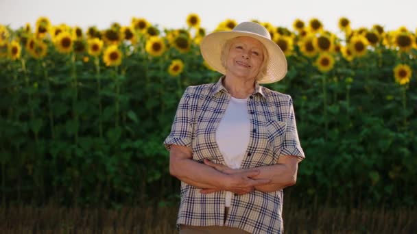 Una anciana con un sombrero de sol está de pie con los brazos cruzados en un campo de girasol, sonriendo ampliamente mientras mira a la cámara — Vídeos de Stock