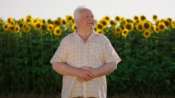 E l'uomo più anziano con i capelli grigi indossa una camicia a scacchi, in piedi di fronte a un campo di girasole sorprendentemente bello tutto guardando intorno e poi sorridendo alla fotocamera — Video Stock