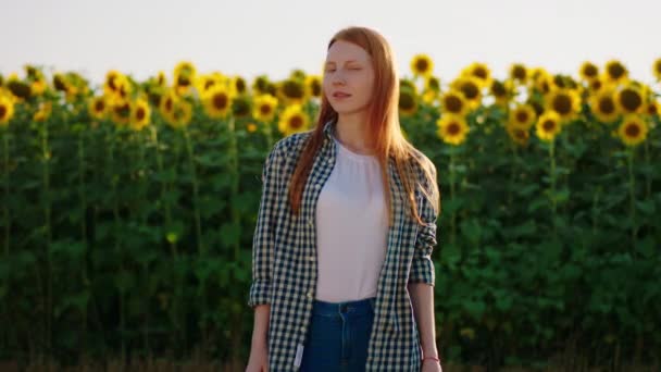 Імбирний волохата приголомшлива молода жінка стоїть перед соняшниковим полем в дуже сонячний день і весело посміхається собі — стокове відео