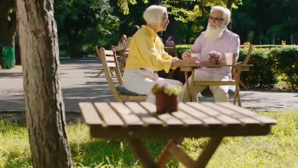 Uprostřed parku v kavárně dobře vypadající stará žena a její manžel mají čas na kávu spolu diskutovat — Stock video