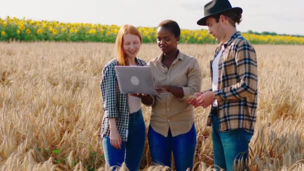 Bonito fazendeiro cara e duas mulheres bonitas mulher negra e mulher de cabelo de gengibre no meio do campo de trigo analisando a futura colheita do laptop — Vídeo de Stock