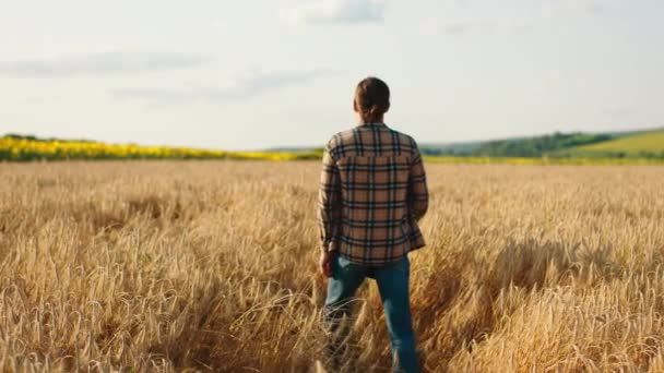 V přední části fotoaparátu s videem ze zadní chůze na velké pšeničné pole farmář muž si vychutnat čas a analyzovat sklizeň — Stock video