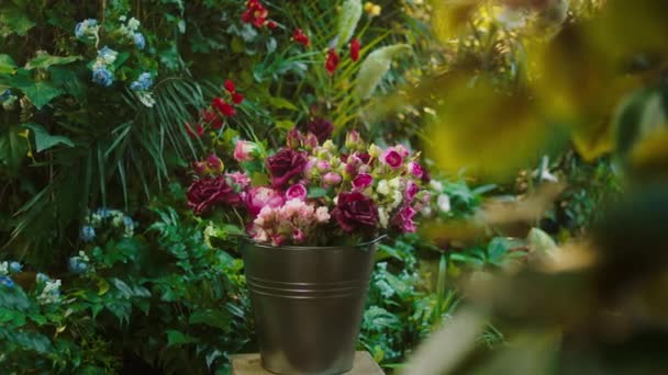 Έννοια της βιομηχανίας λουλουδιών σε ένα ανθοπωλείο λήψη βίντεο από ειδικά λουλούδια πολύ υπέροχο και άλλα τροπικά φυτά γύρω — Αρχείο Βίντεο