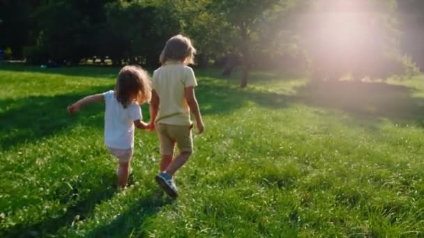 Irmão carismático e irmã caminhando pela grama no meio do parque em um dia ensolarado — Vídeo de Stock