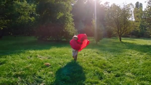 En un gran parque verde que corre a través de la hierba un lindo niño pequeño en un traje de superhéroe que están muy emocionados y felices. 4k — Vídeos de Stock