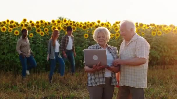 Przed kamerą starzy farmerzy trzymający laptopa analizujący coś przed polem słoneczników, podczas gdy na tle wielorasowych młodych ludzi spacerujących wokół koncepcji pola — Wideo stockowe