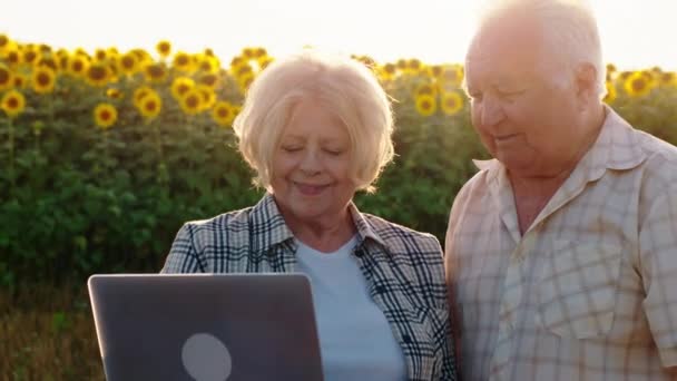 Портрет перед камерой улыбающейся большой женщины и мужчины фермеры посреди поля подсолнухов они используют ноутбук для анализа чего-то — стоковое видео