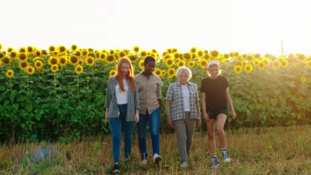 Vid solnedgången i mitten av solrosor fält grupp unga multiracial damer och deras mormor mycket vacker kvinna promenader tillsammans framför kameran och ha ett samtal — Stockvideo