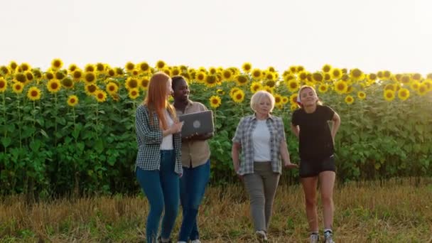 Marcher devant la caméra à travers le champ de tournesols groupe de jeunes jolies dames multiraciale et vieille agricultrice tenant un ordinateur portable pour faire une analyse de la récolte de cette année — Video