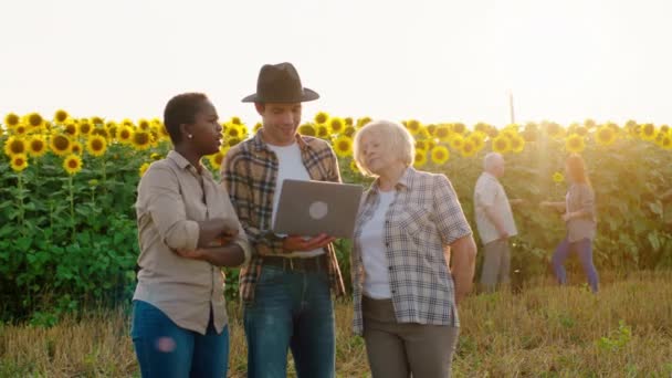 In front of the camera mature man and his old mother both farmers analysing through the laptop the statistic of harvest behind of a beautiful black woman on the background old farmer man and lady — Stock Video