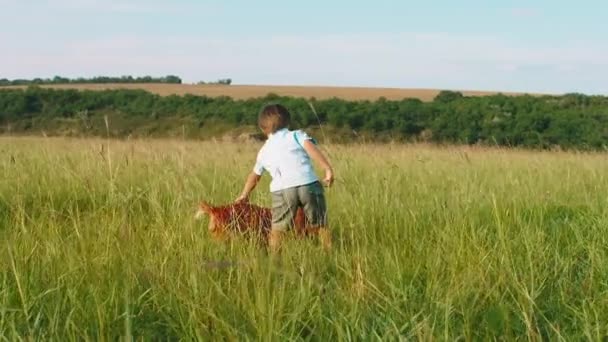 У природі милий харизматичний чотирирічний хлопчик грає зі своєю милою собакою вони найкращі друзі в середині зеленого поля — стокове відео