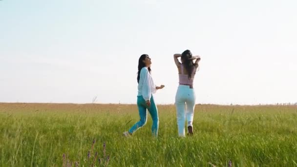 V přírodě uprostřed velkého pole krásné dvě dámy kráčející po poli a vychutnat si krajinu kolem nich — Stock video