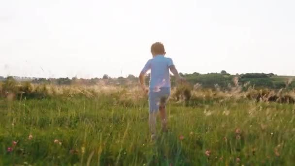 Muy feliz y emocionado lindo chico corriendo rápido en medio de un gran campo verde en la naturaleza que disfrutar de la infancia — Vídeos de Stock