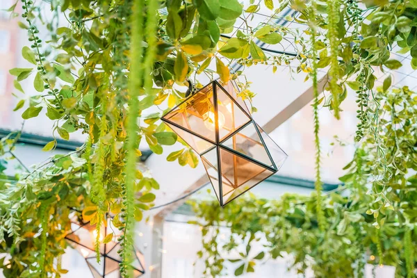 Una Linterna Vidrio Geométrica Vegetación Bajo Techo — Foto de Stock