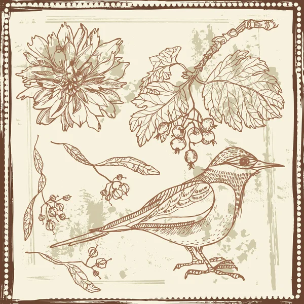 Handgezeichnete Skizze von Vögeln, Herbstbeeren und Blumen. — Stockvektor