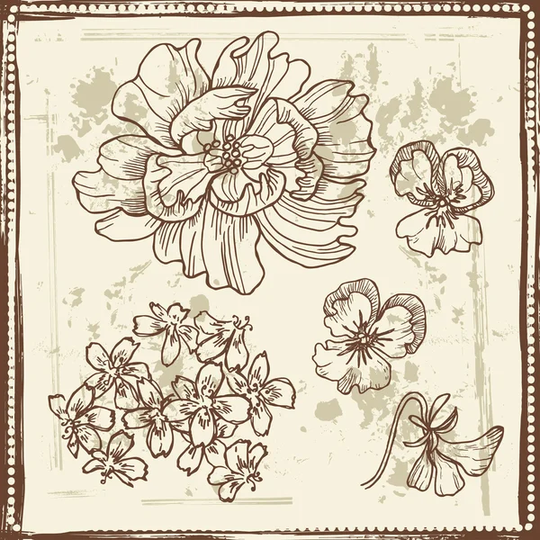 Set di schizzi botanici disegnati a mano — Vettoriale Stock