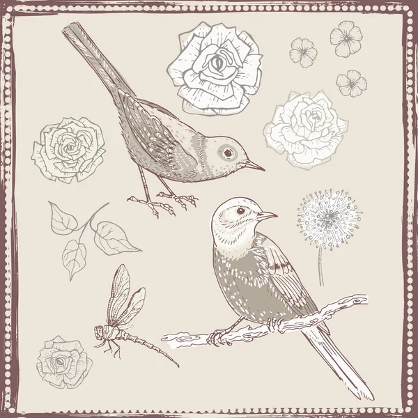 Hand drawn vintage flowers and birds set — Stock Vector