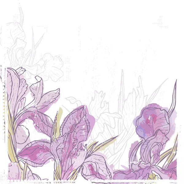 Carte rétro dessinée à la main avec des fleurs d'iris aquarelle — Image vectorielle