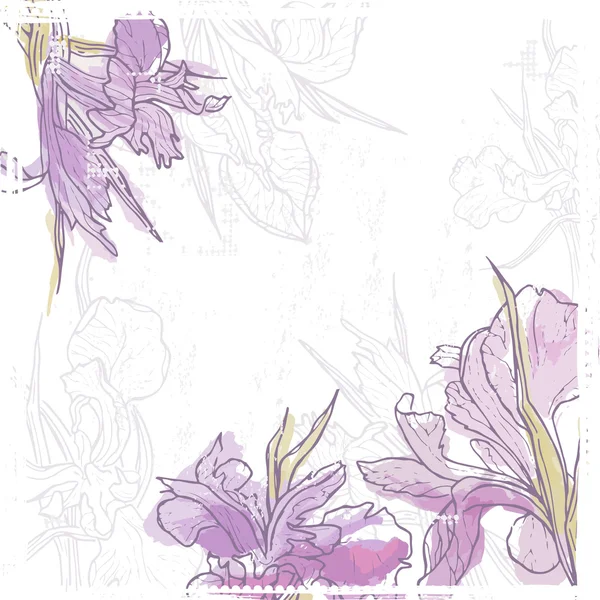 Hand getekend vintage kaart met zacht aquarel iris bloemen — Stockvector