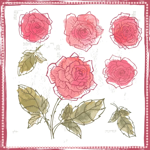 Conjunto dibujado a mano de rosas acuarela — Archivo Imágenes Vectoriales