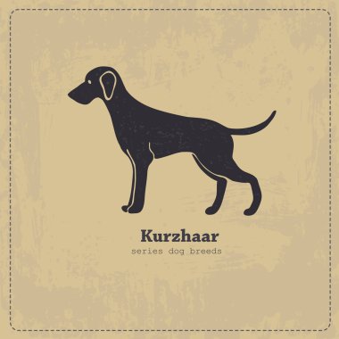 KURZHAAR köpek siluet