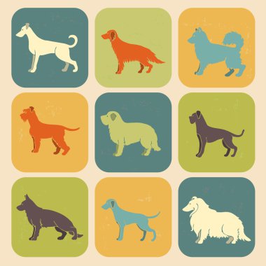 Köpek doğurmak stilize renkli simgeler ayarla  