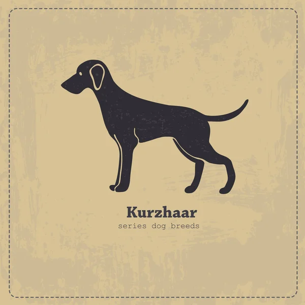 Kurzhaar  dog silhouette — Stock Vector
