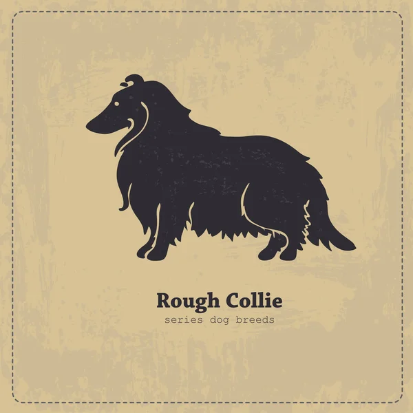 Rough Collie  dog silhouette — Stock Vector