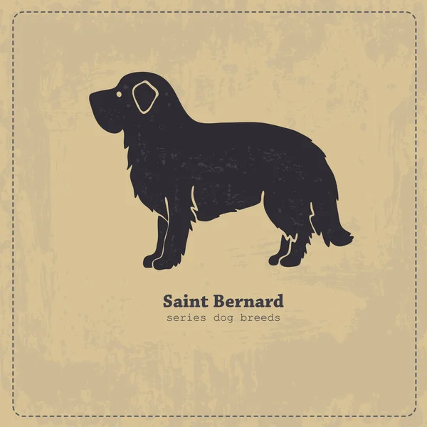 Saint Bernard köpek siluet — Stok Vektör