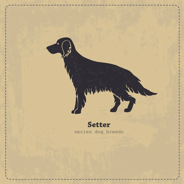 Irlandese Setter cane silhouette — Vettoriale Stock