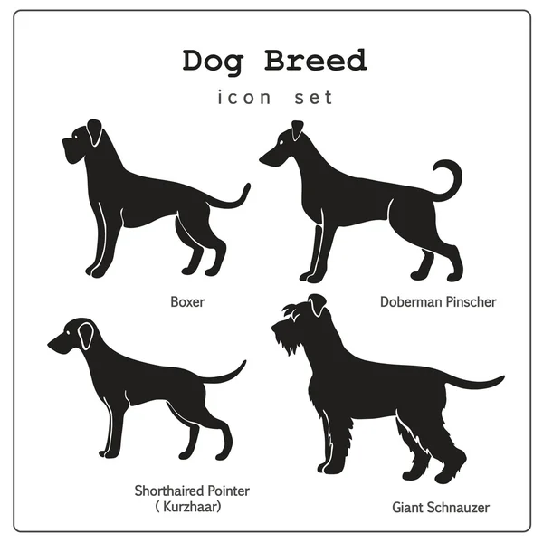 Ensemble de quatre icônes de races de chiens — Image vectorielle