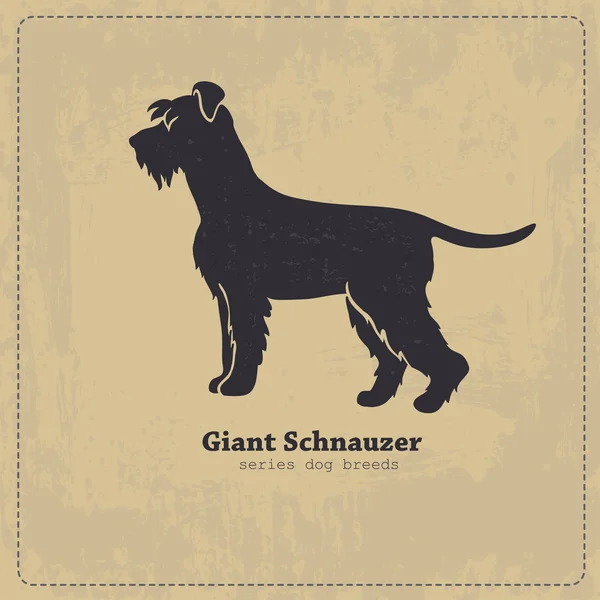 Dev Schnauzer köpek siluet