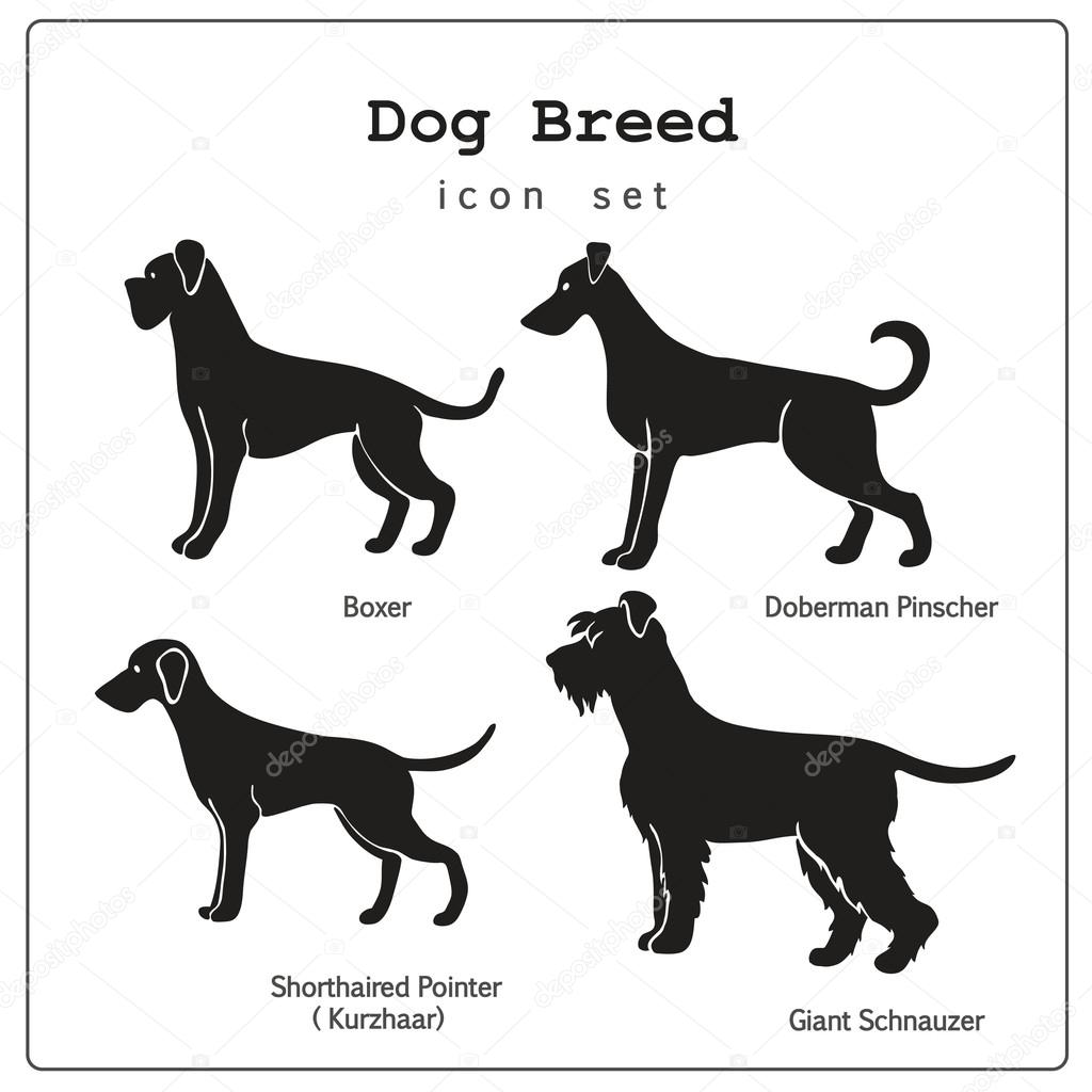 Set of four dog breeds  icons
