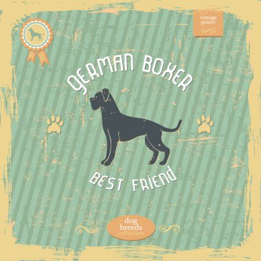Boxer Köpek vintage tipografi poster el çekilmiş
